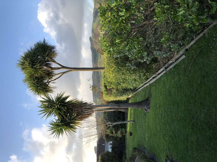 49 Cabeleigh Drive Helensville_10