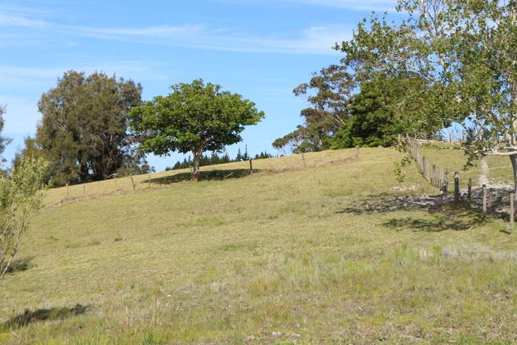 State Highway 10 Taipa_5