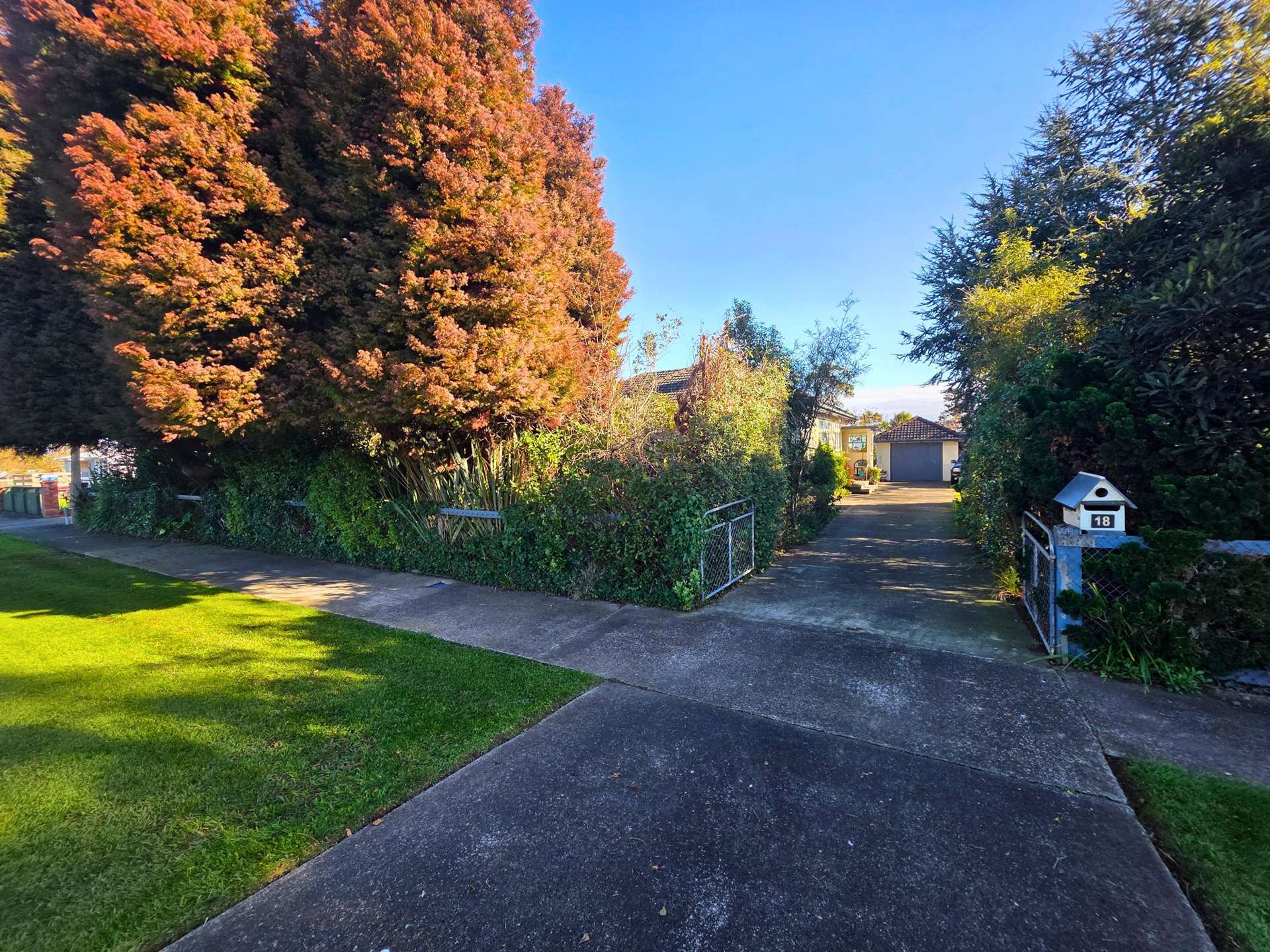 18 Terrace Street Marton_0