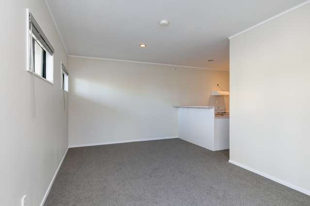 1c Arawa Road Hataitai_3