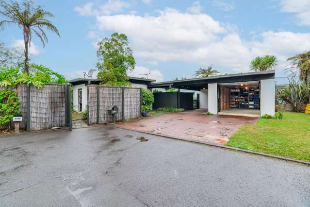 122b Galloway Street Hamilton East_3