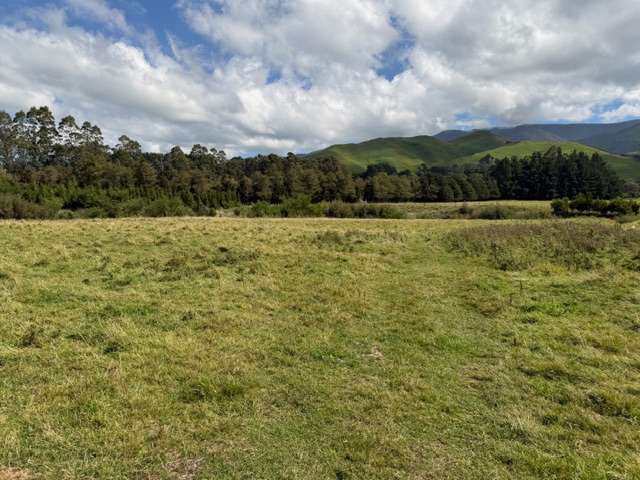 . Tamaki East Road Dannevirke_1