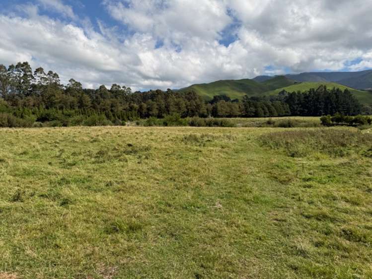 . Tamaki East Road Dannevirke_1