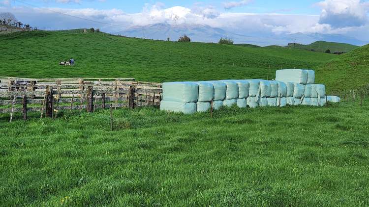 794 Tariki Road Ratapiko_9