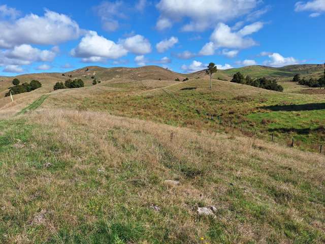 Mangaone Road Pongaroa_4