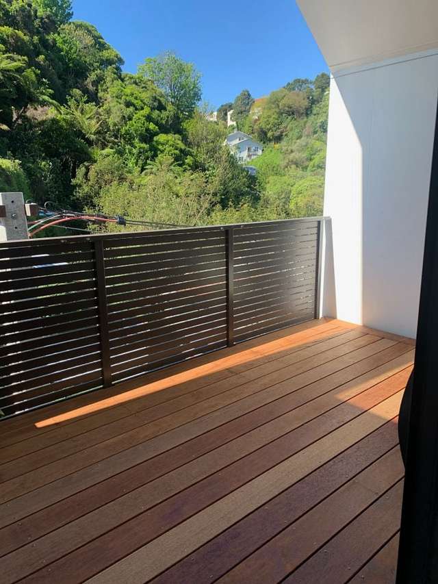 3/229 Aro Street Aro Valley_1