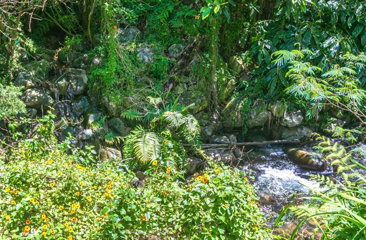 15 Pohue Creek Road Waiomu_30