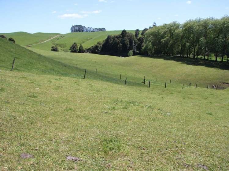 Otaraoa Road Tarata_5