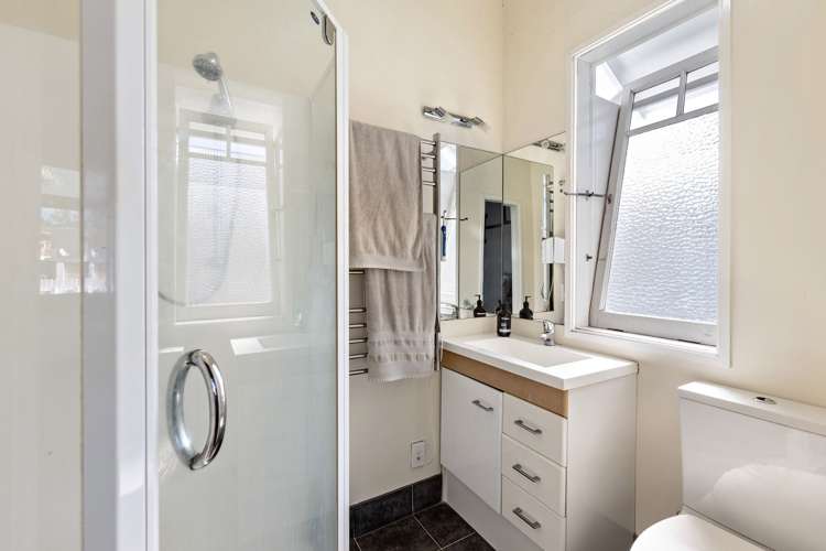 13 Volcanic Street Mount Eden_20