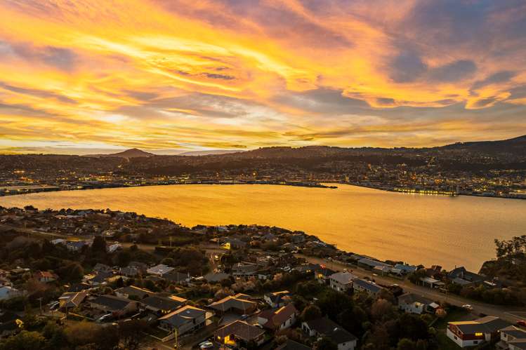 105 Belford Street Waverley_16