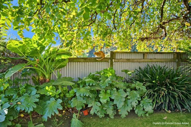 3 Waterhouse Street Enner Glynn_29