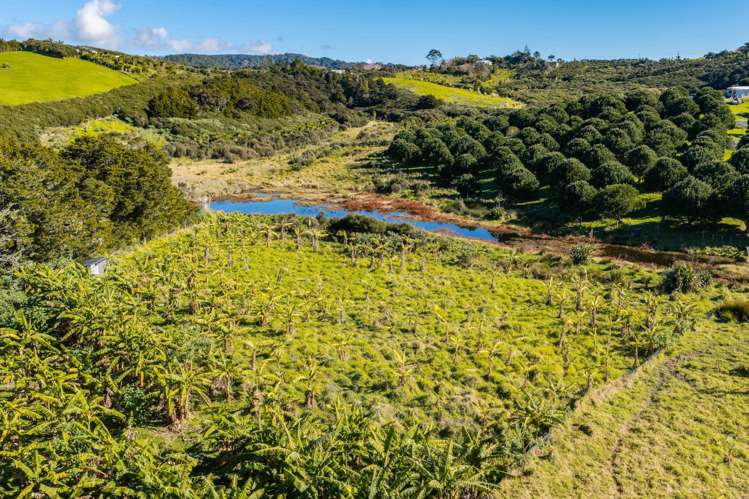 173 Prescott Road Ruakaka_11