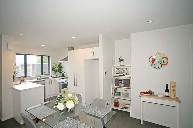 48 Mustang Avenue Wigram_3