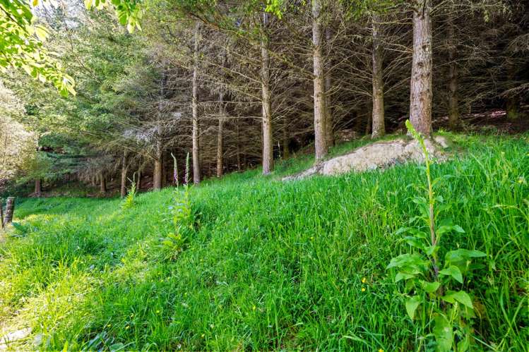 1005 Onamalutu Road Onamalutu_24