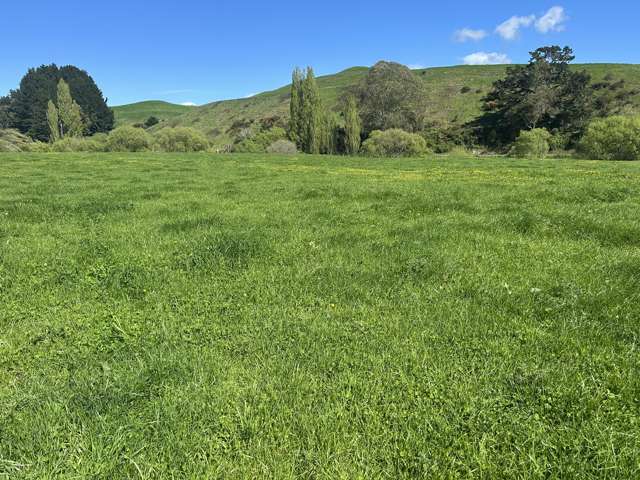Lot 1, 51 Kiwi Road Pirongia_2