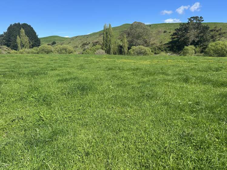 Lot 1, 51 Kiwi Road Pirongia_2