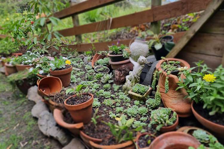 15 Merwood Lane Devonport_32