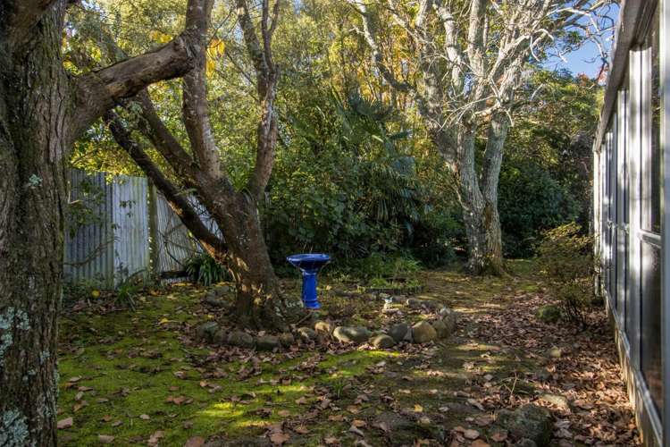 42 Adams Street Waihi_6