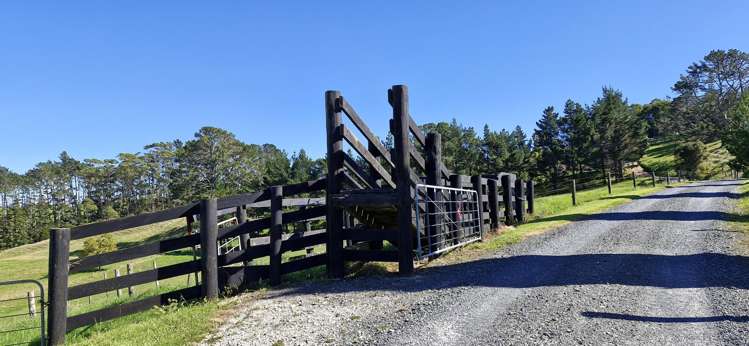 184 Monarch Downs Way Matakana_27