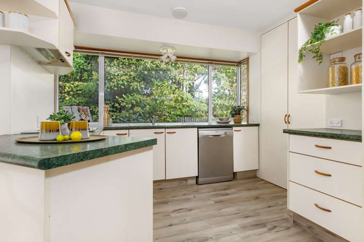 4 Pembroke Street Avondale_6