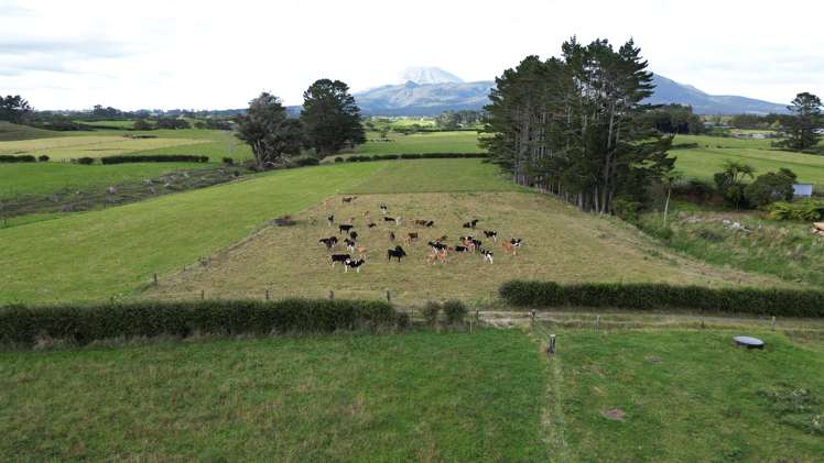 607 Hurford Road Hurford_4