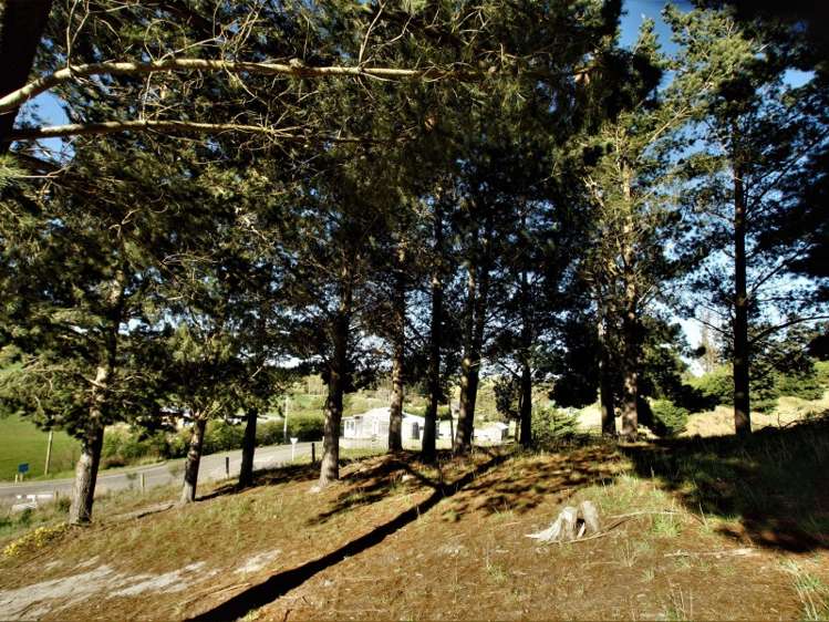 561 Palmerston-Waikouaiti Road Palmerston_5