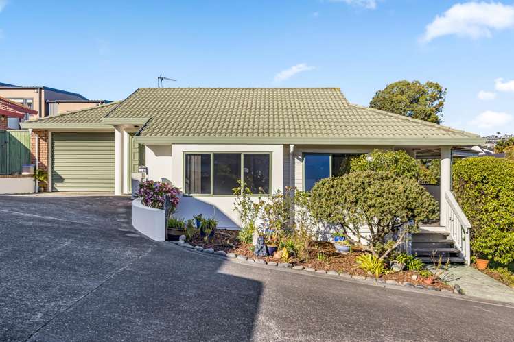 6 Palmgreen Court Stanmore Bay_4