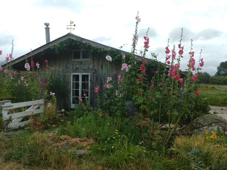 18 Neavesville Road Puriri_7