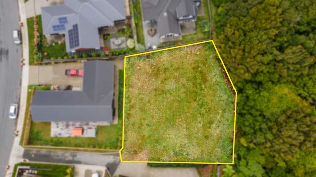 19 Morepork Drive Waikanae_1