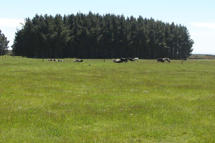 997 Waituna Lagoon Road Wyndham Surrounds_17