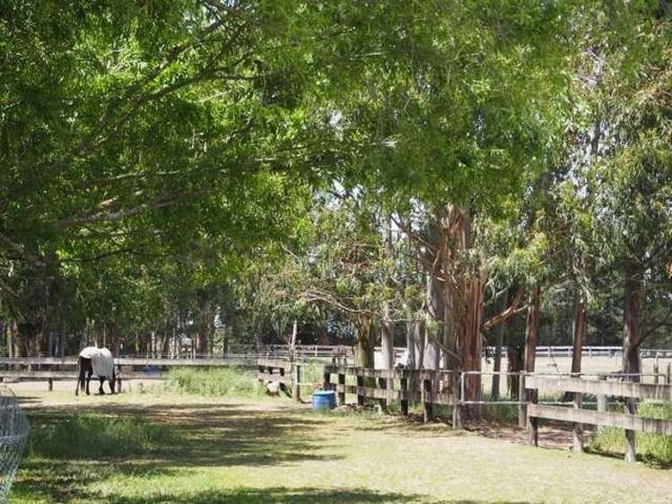 2309 Coaltrack Road Darfield_9