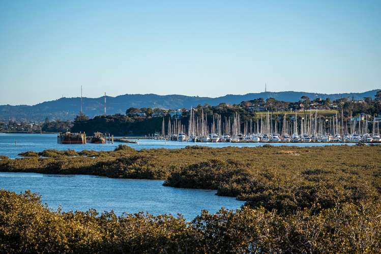 4/4 Limestone Drive Hobsonville_13