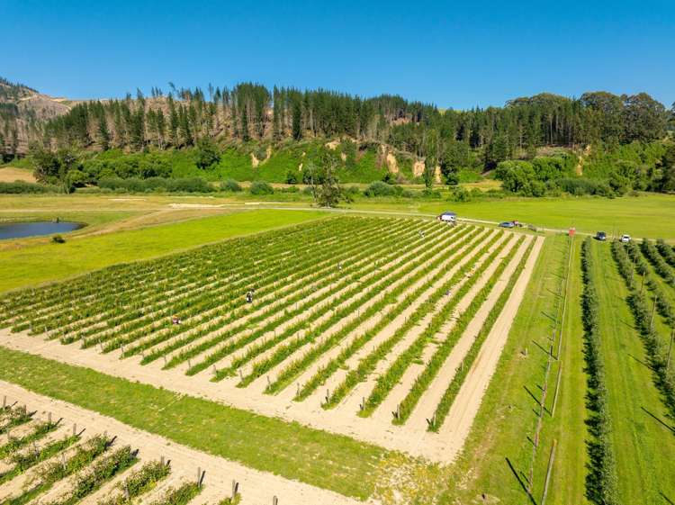 160 Tadmor Valley Road Tapawera_53