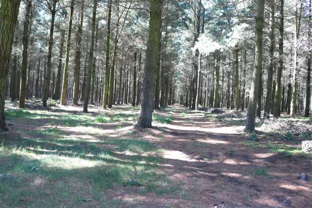 Headworks Road Rakaia_1