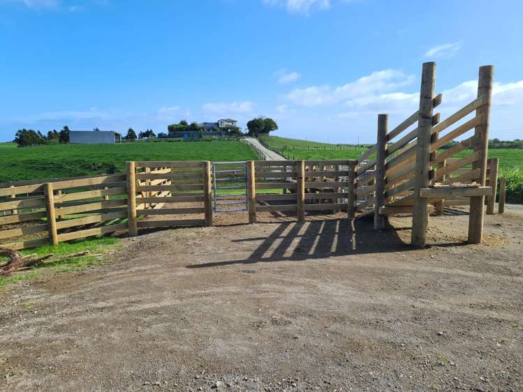 629 South Road Omata_12