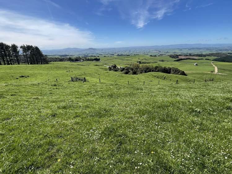 487 Pekanui Road. Rd 6 Te Awamutu_25