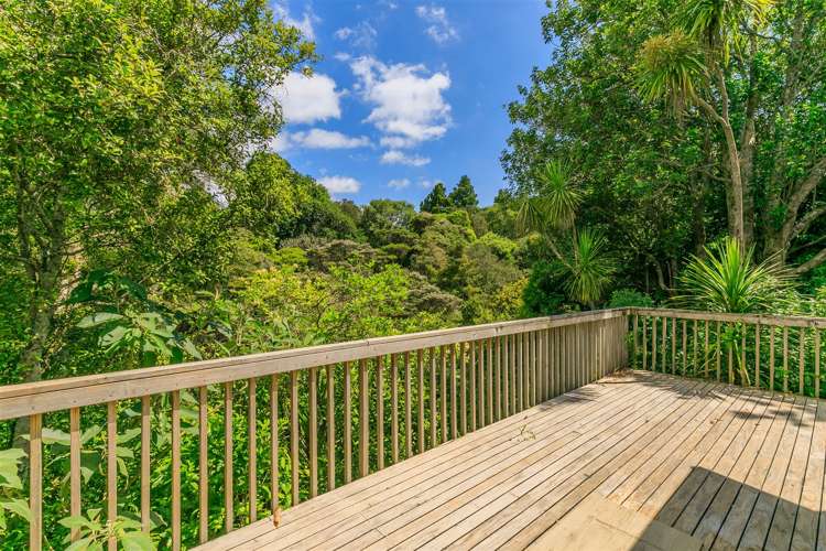 74 Park Road Glenfield_1