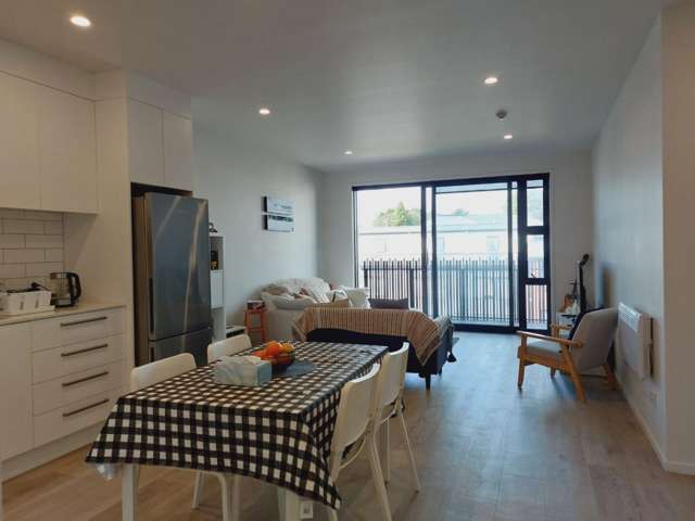 Fully Furnished 3 bedroom Modern Apartment