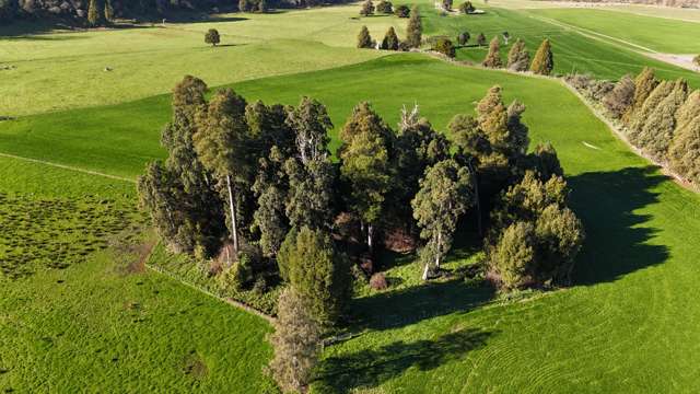 208 Otara Road Ohingaiti_4