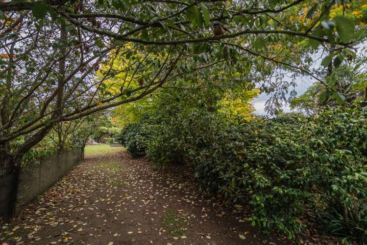 Meehan Place Makikihi_11