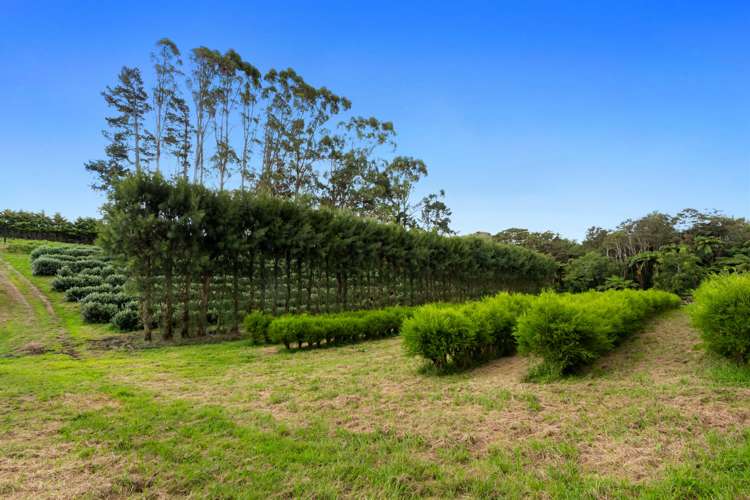 Pine Ridge Lane Aongatete_7