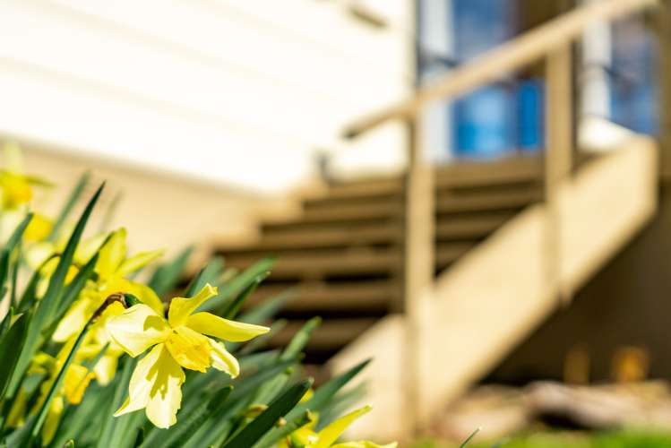 76 Driver Road Dargaville Surrounds_16