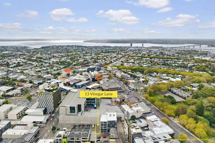 13 Vinegar Lane Grey Lynn_5