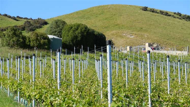 698 Omihi Road Waipara_11