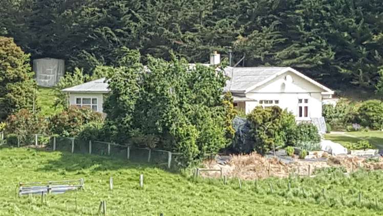 417 Waihaorunga Back Road Elephant Hill_18