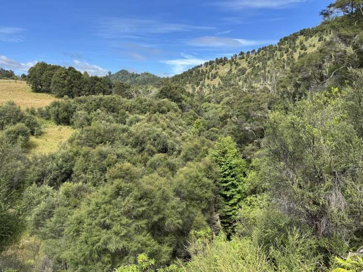 Rakutangi Road Ruatiti_15