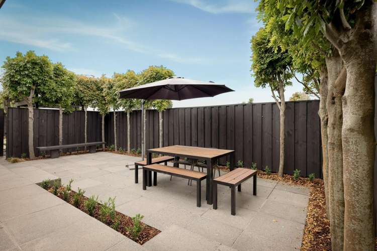 149A Eversham Road Mt Maunganui_3