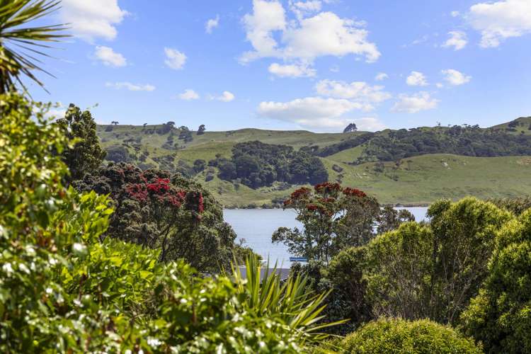 65A Government Road Raglan_11