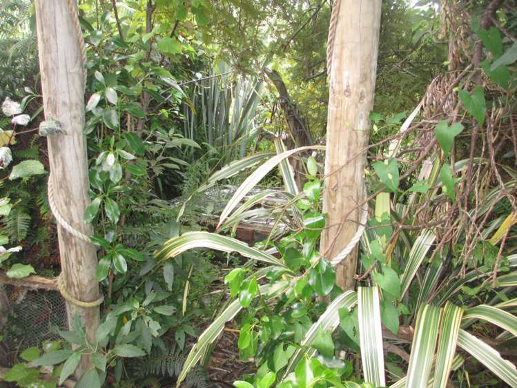 11 Chaslands Highway Papatowai/Pounawea_19