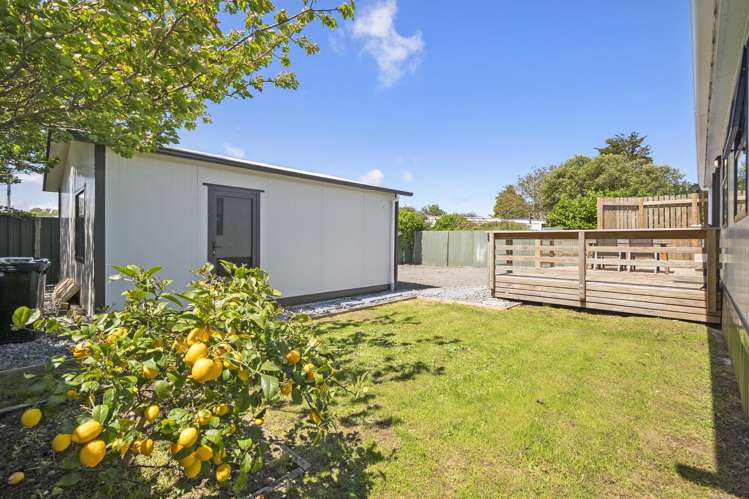 26a Hammond Street Bulls_15